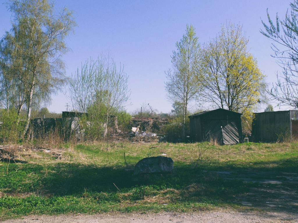 DSCF6831