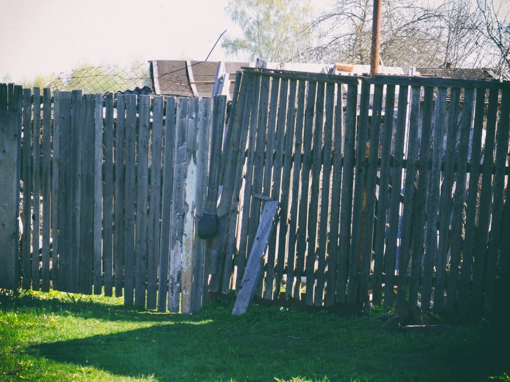 DSCF6837