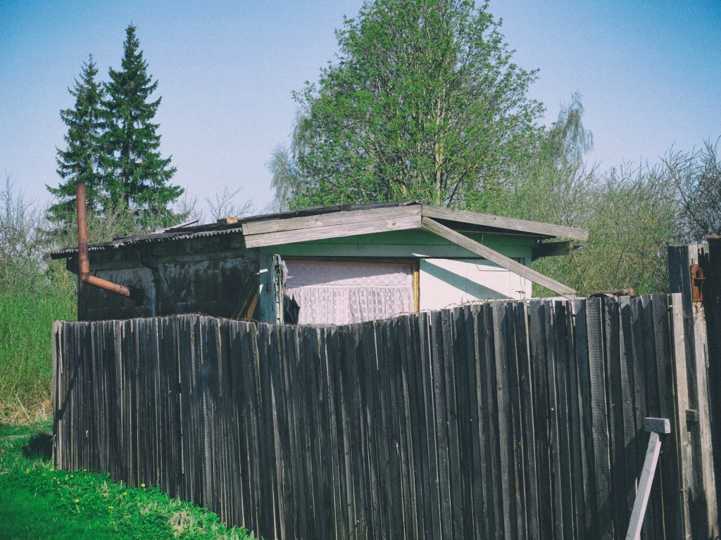 DSCF6839