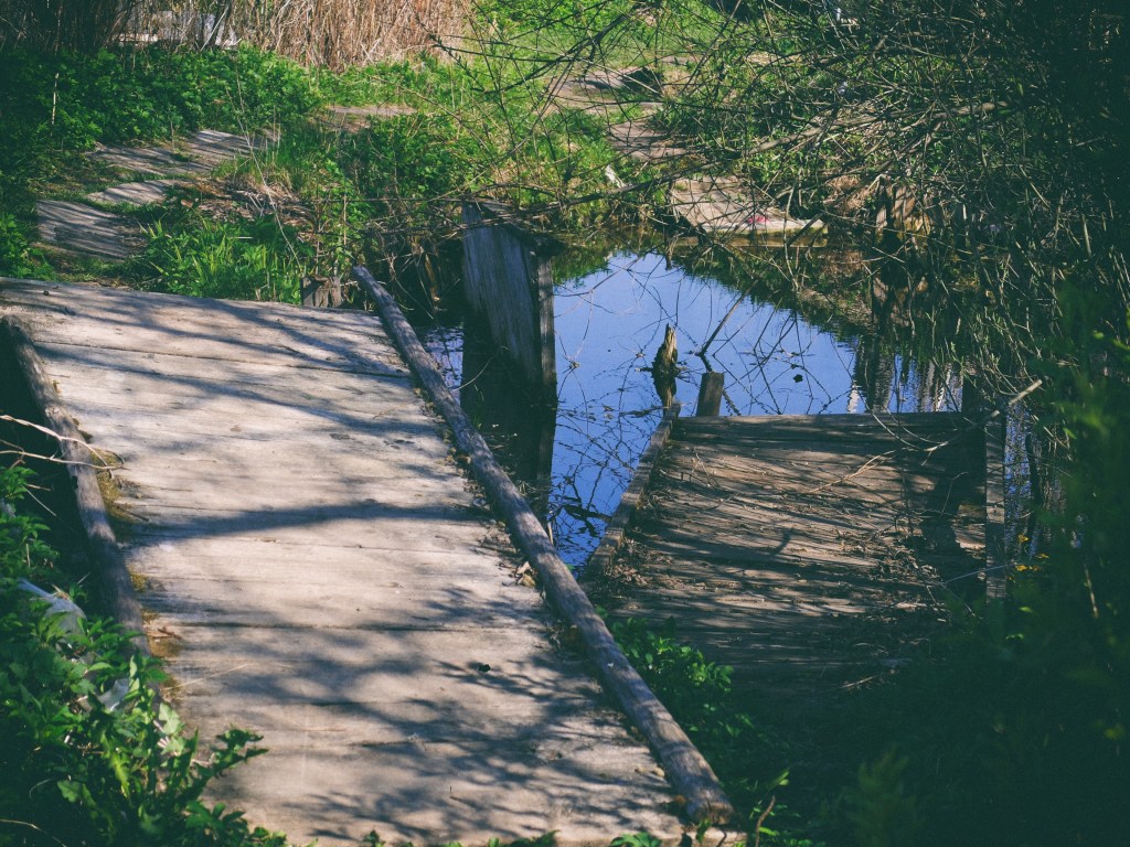 DSCF6860