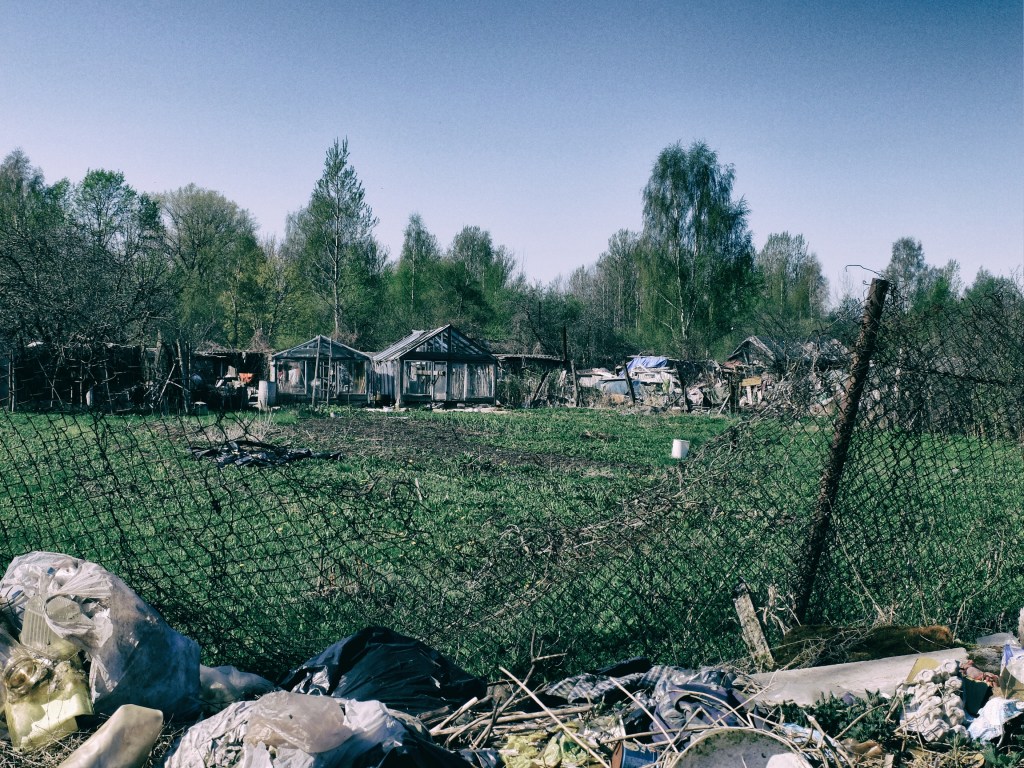 DSCF6861