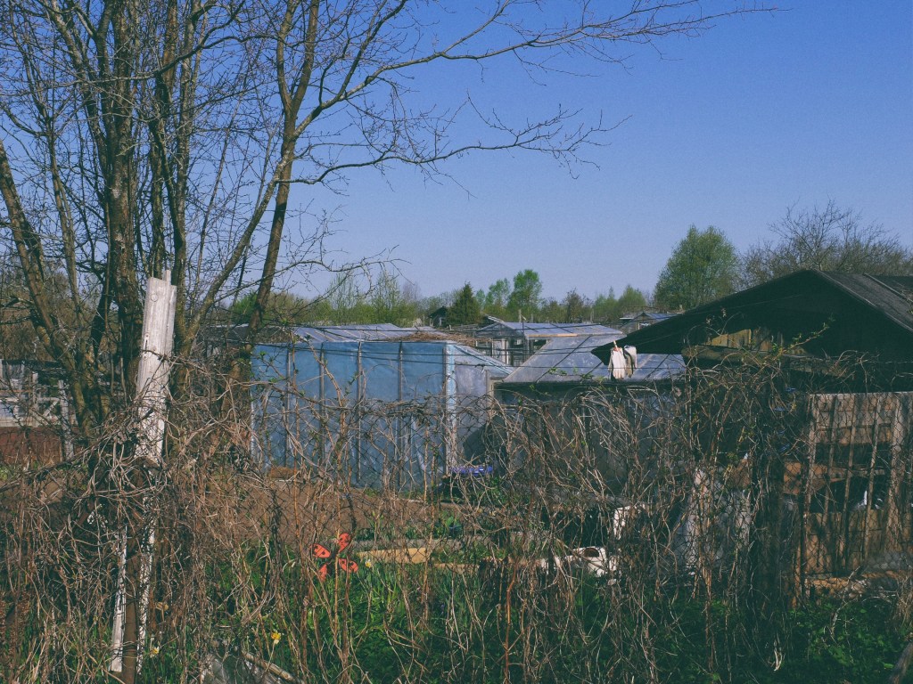 DSCF6862