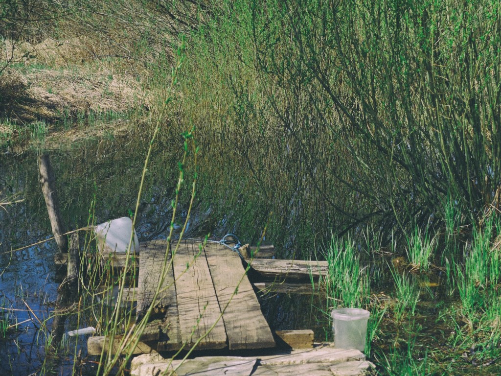 DSCF6891