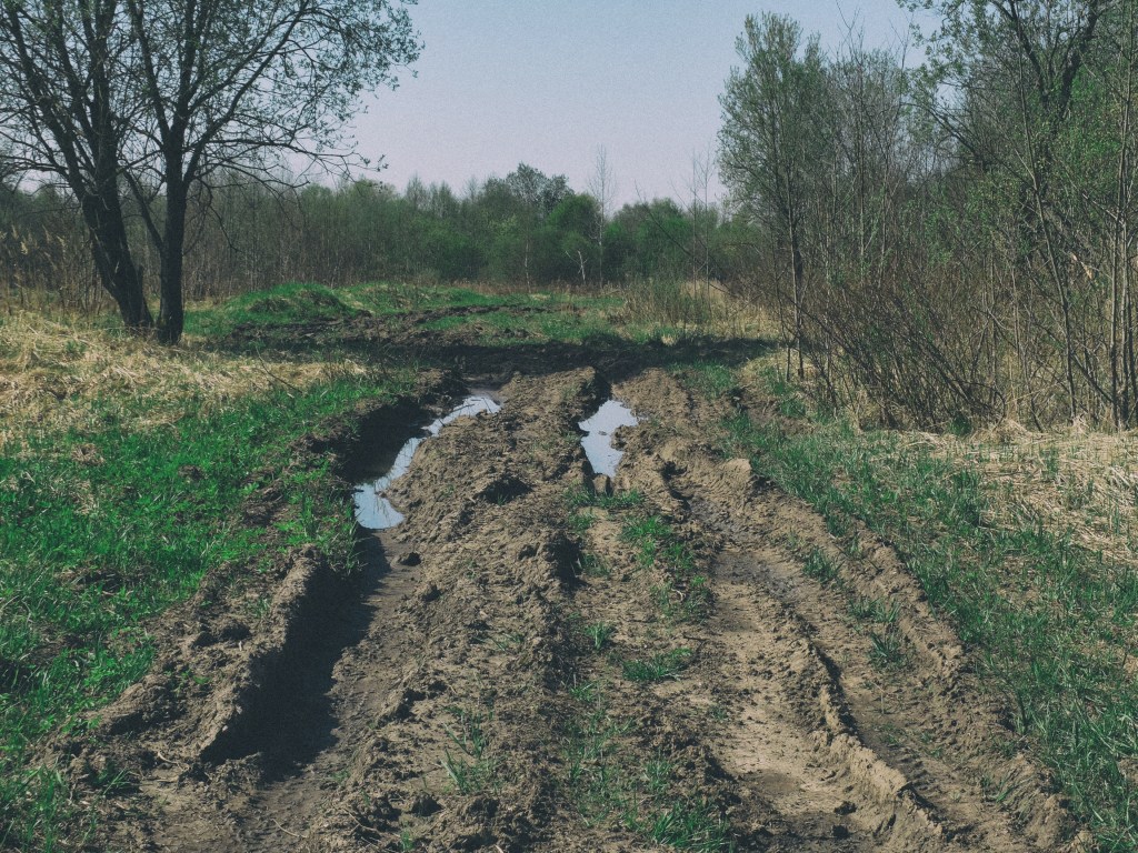 DSCF6897