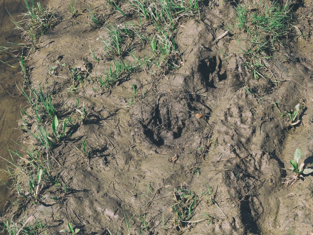 DSCF6904