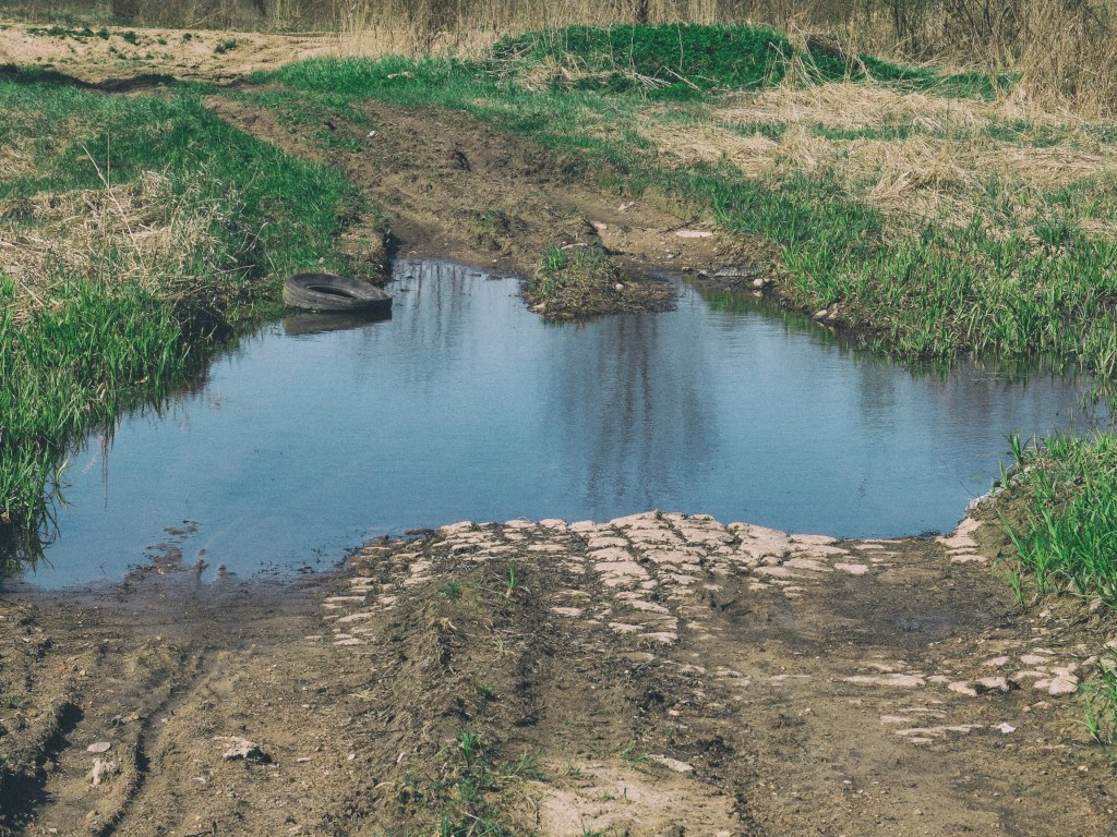 DSCF6906