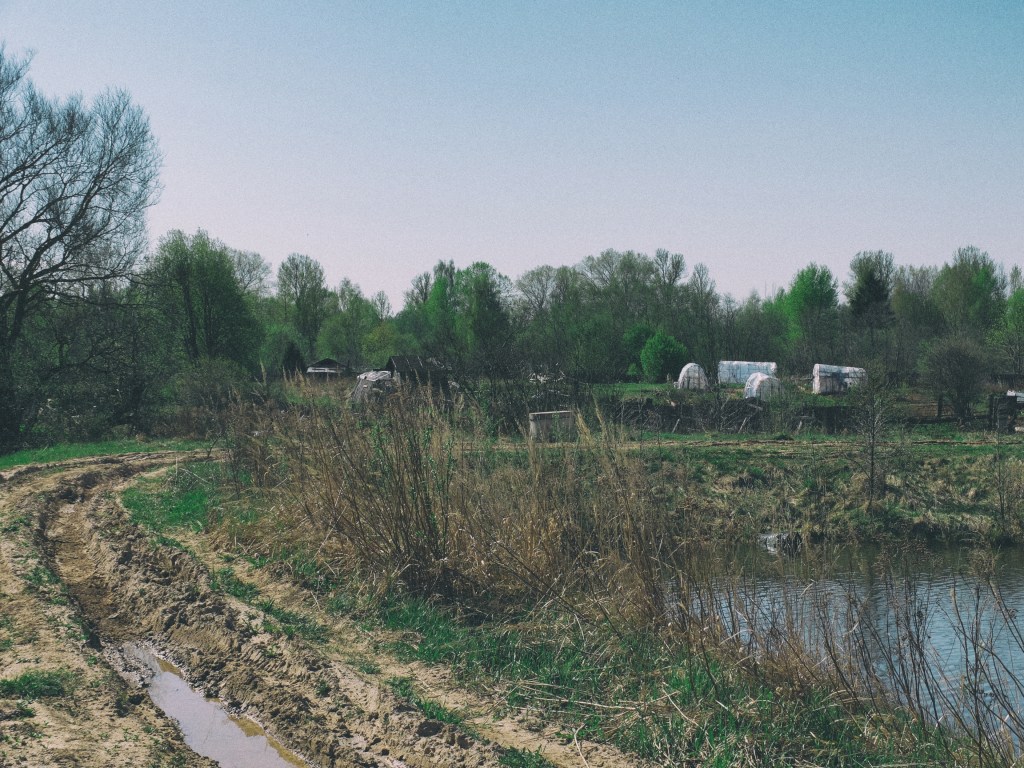 DSCF6908