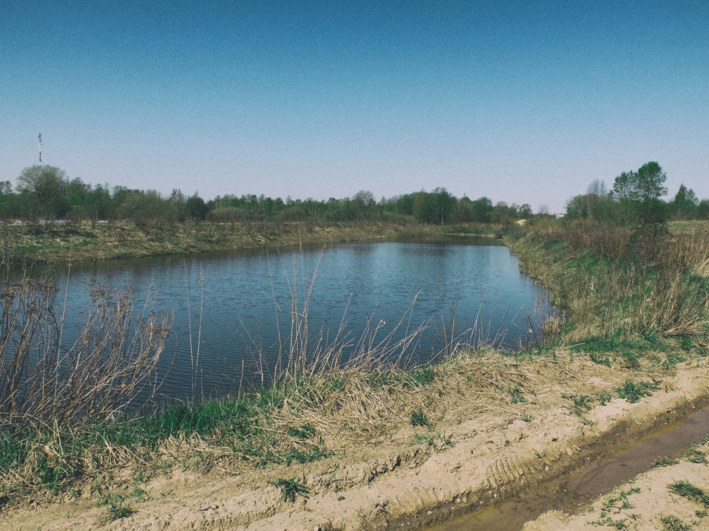DSCF6909