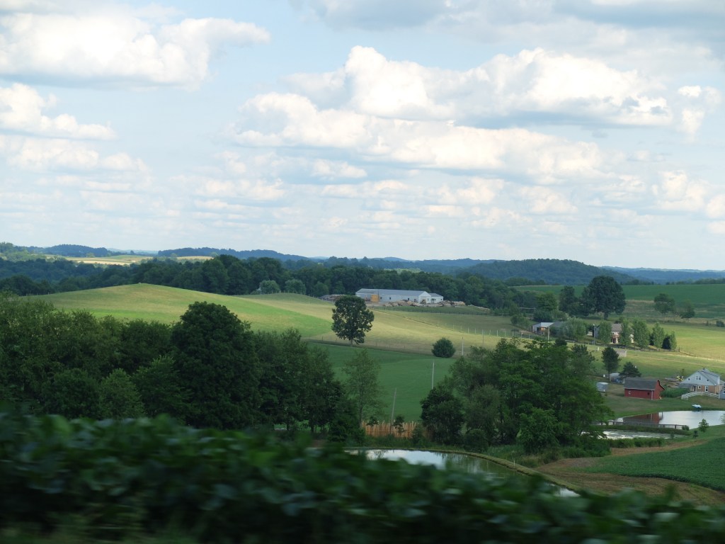 28317164322_f1d97c3b23_o