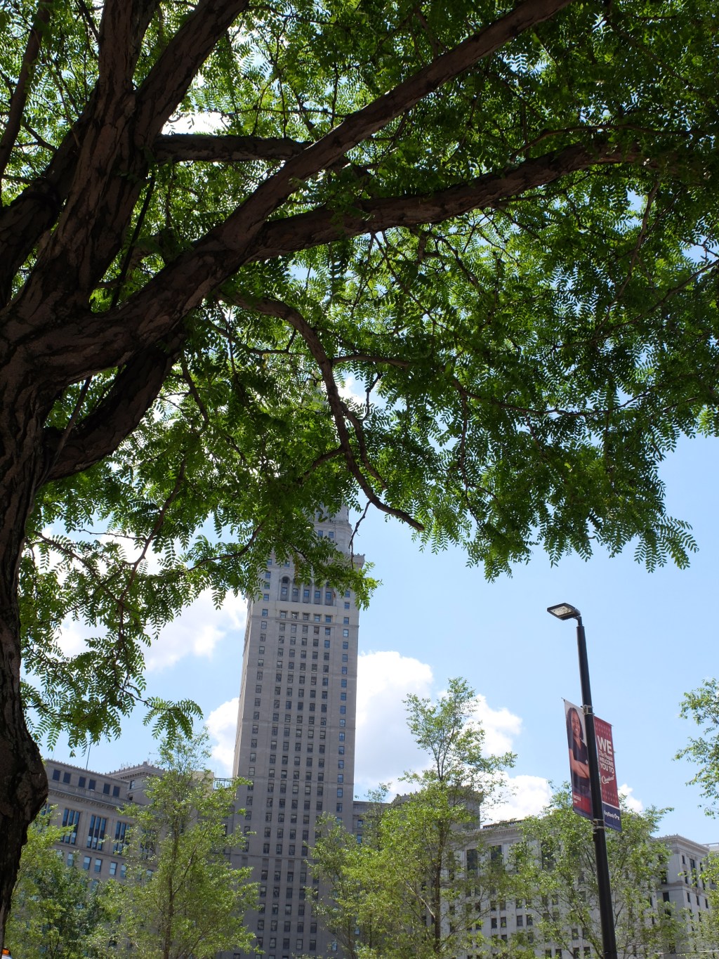 28389062486_43e6883fe5_o