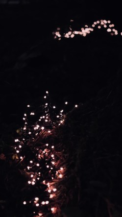 fullsizeoutput_407d