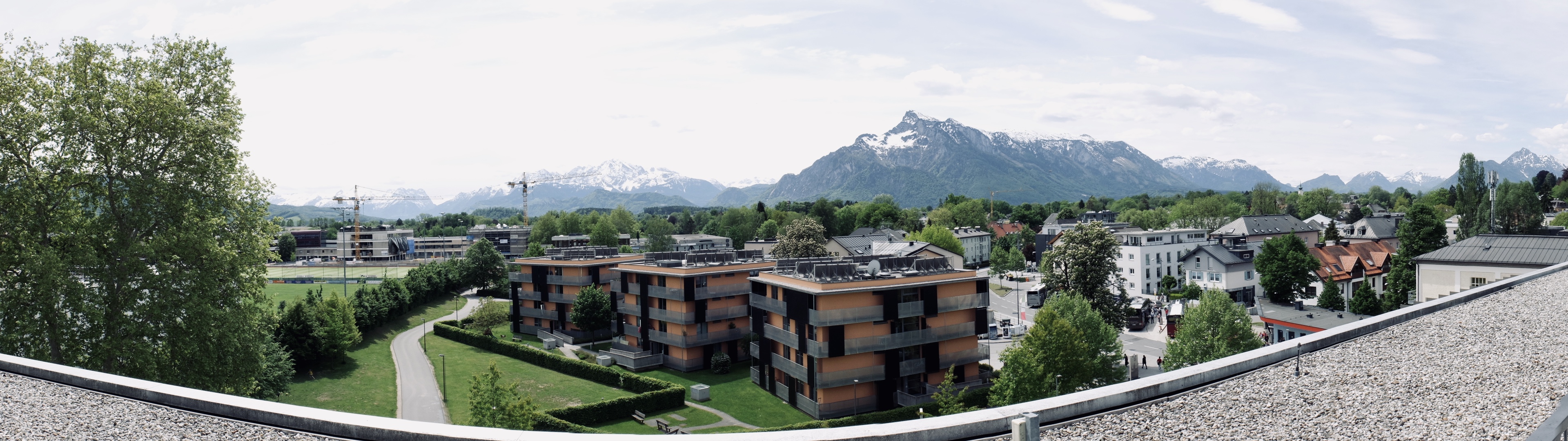 fullsizeoutput_53b0-1