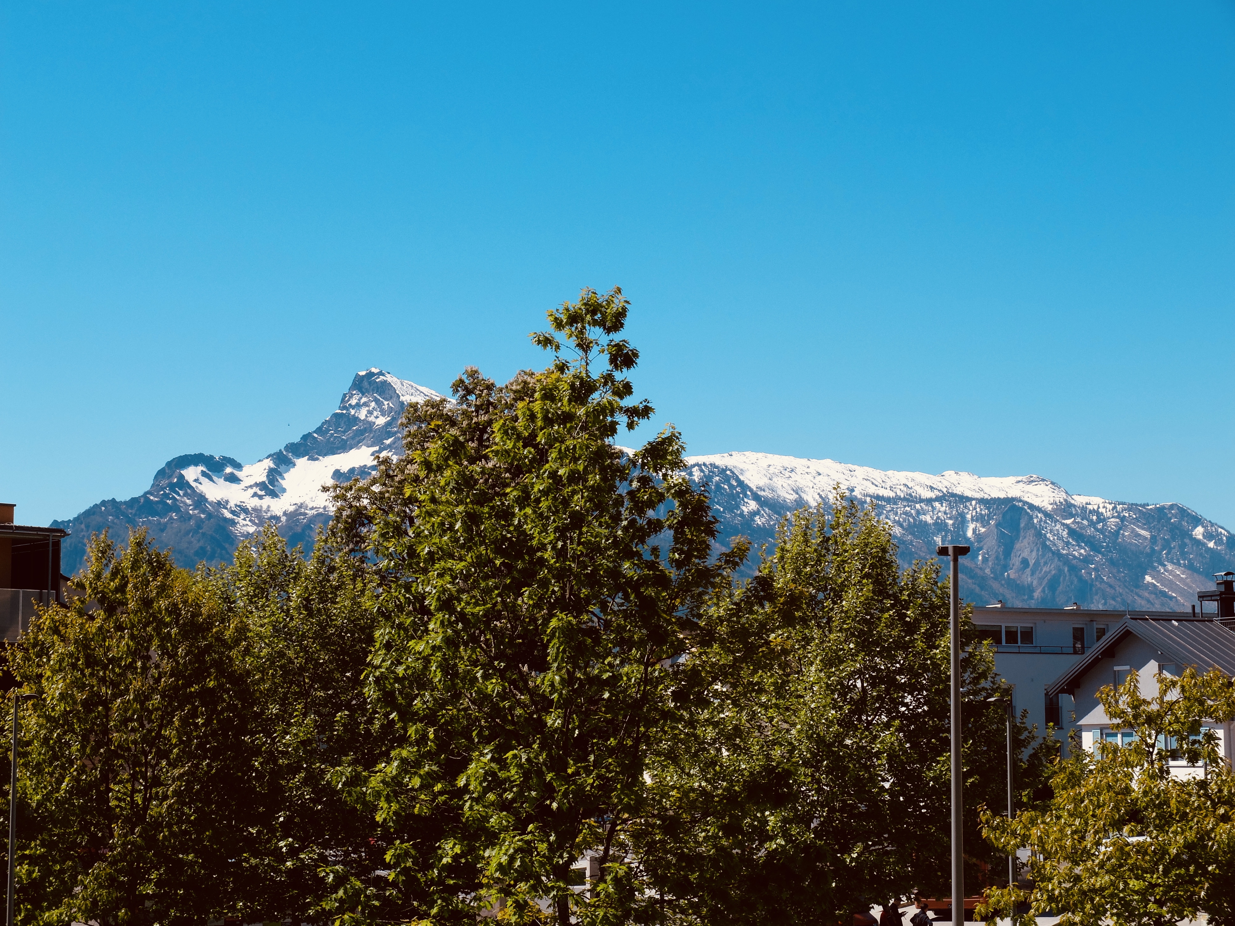 fullsizeoutput_53bc-1