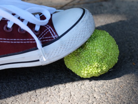 045473B8-6934-498F-85A2-90299C987948