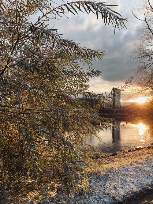 1450D500-836F-498F-9711-E6924994C33B_1_201_a