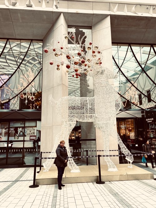 238A2AA5-9909-4E6B-949D-E01ABA6062FF_1_201_a