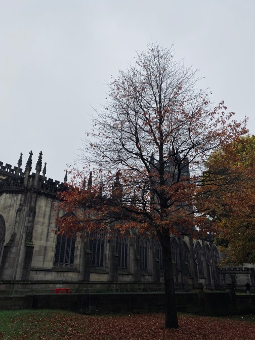 ABA5C179-2988-467A-A153-F8CAEE0F7CA5_1_201_a