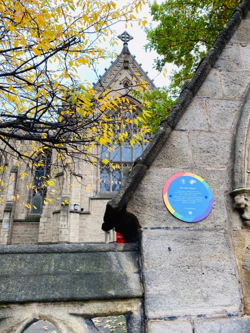 C2689FEE-E6C0-4AF1-B142-3BF0E34F6614_1_201_a