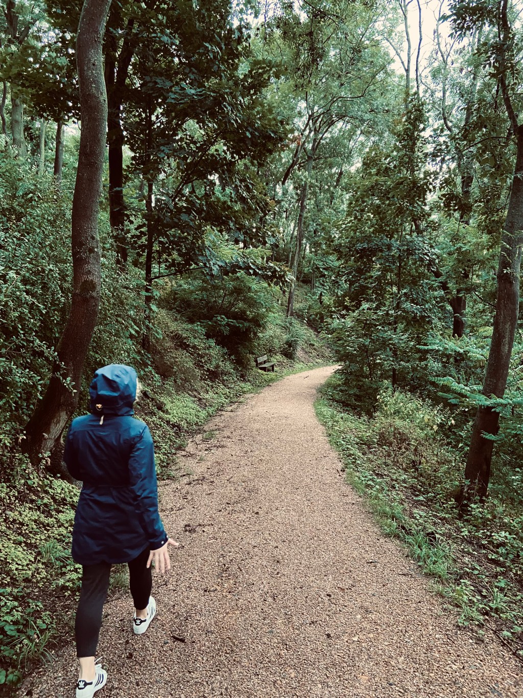 d694e998-4017-4c26-9510-53f288d1ba6c